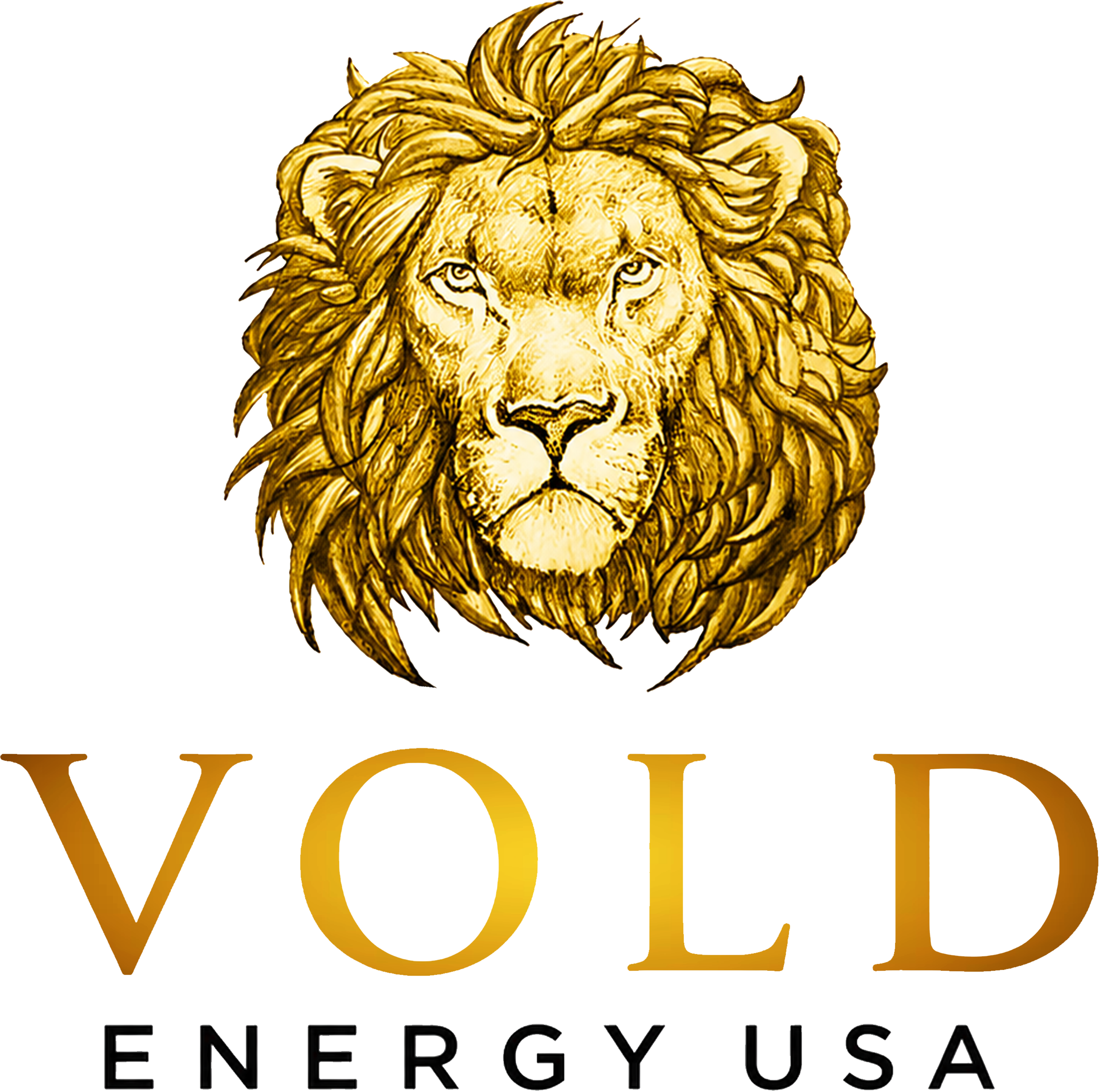 VOLD ENERGY USA